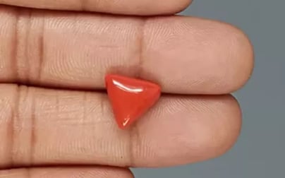 Italian Red Coral - 5.11 Carat Limited Quality TC-5384