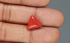 Italian Red Coral - 5.11 Carat Rare Quality TC-5337