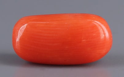 Italian Red Coral - 5.14 Carat Limited Quality CC-5628