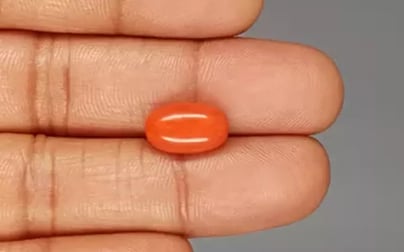 Italian Red Coral - 5.17 Carat Rare Quality CC-5829