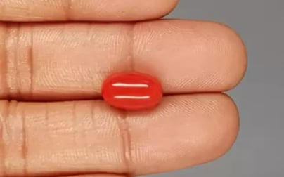 Italian Red Coral - 5.2 Carat Rare Quality CC-5824