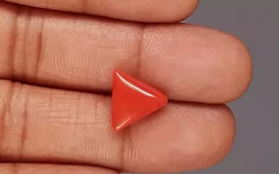 Italian Red Coral - 5.21 Carat Rare Quality TC-5368