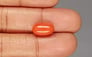 Italian Red Coral - 5.22 Carat Rare Quality CC-5814