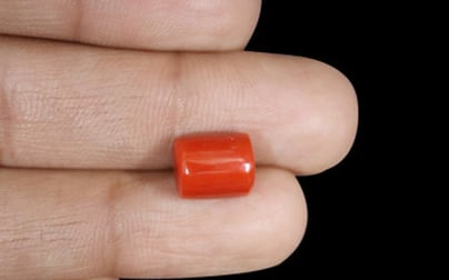 Italian Red Coral - 5.23 Carat Limited Quality CC-5634