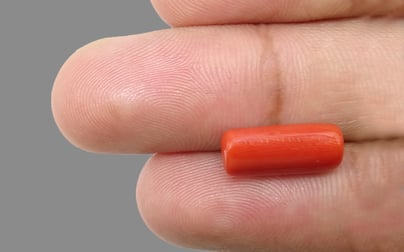 Italian Red Coral - 5.26 Carat Prime Quality CC-5526 