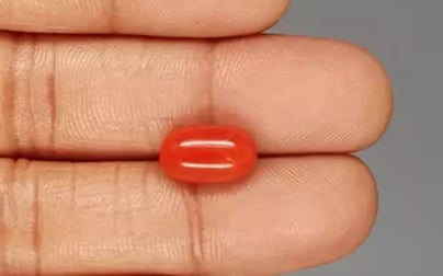 Italian Red Coral - 5.26 Carat Rare Quality CC-5843