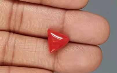 Italian Red Coral - 5.27 Carat Rare Quality TC-5379