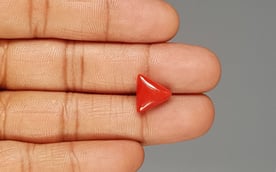 Italian Red Coral - 5.29 Carat Rare Quality TC-5331