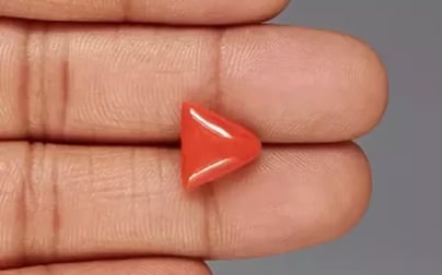 Italian Red Coral - 5.29 Carat Rare Quality TC-5349