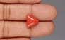 Italian Red Coral - 5.29 Carat Rare Quality TC-5349