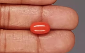 Italian Red Coral - 5.37 Carat Limited Quality CC-5865