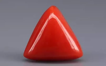 Italian Red Coral - 5.41 Carat Rare Quality TC-5353