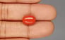 Italian Red Coral - 5.45 Carat Rare Quality CC-5849