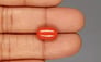 Italian Red Coral - 5.53 Carat Rare Quality CC-5847