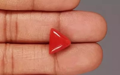 Italian Red Coral - 5.53 Carat Rare Quality TC-5358