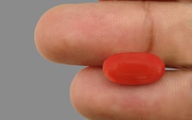 Italian Red Coral - 5.59 Carat Limited Quality CC-5566