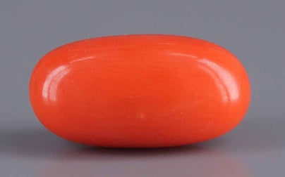 Italian Red Coral - 5.59 Carat Limited Quality CC-5566