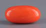 Italian Red Coral - 5.59 Carat Limited Quality CC-5566