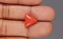 Italian Red Coral - 5.61 Carat Limited Quality TC-5367