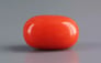 Italian Red Coral - 5.65 Carat Rare Quality CC-5816
