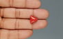 Italian Red Coral - 5.66 Carat Rare Quality TC-5370
