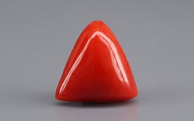 Italian Red Coral - 5.66 Carat Rare Quality TC-5370