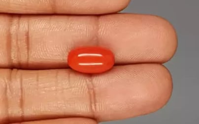 Italian Red Coral - 5.68 Carat Rare Quality CC-5833