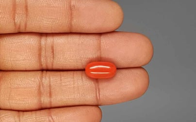 Italian Red Coral - 5.70 Carat Rare Quality CC-5844