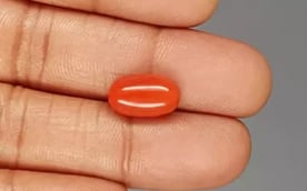 Italian Red Coral - 5.78 Carat Rare Quality CC-5835
