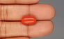 Italian Red Coral - 5.79 Carat Rare Quality CC-5838
