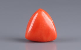 Italian Red Coral - 5.8 Carat Prime Quality TC-5154