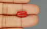Italian Red Coral - 5.94 Carat Limited Quality CC 5714