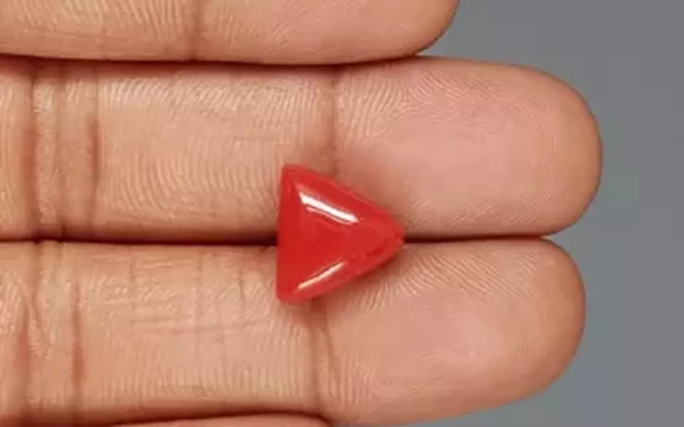 Italian Red Coral - 5.95 Carat Rare Quality TC-5351