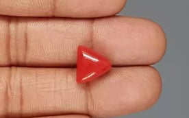 Italian Red Coral - 5.95 Carat Rare Quality TC-5351