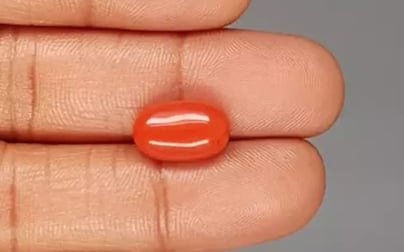 Italian Red Coral - 5.97 Carat Rare Quality CC-5817