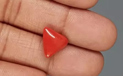 Italian Red Coral - 6.05 Carat Rare Quality TC-5360