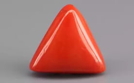 Italian Red Coral - 6.09 Carat Limited Quality TC-5347