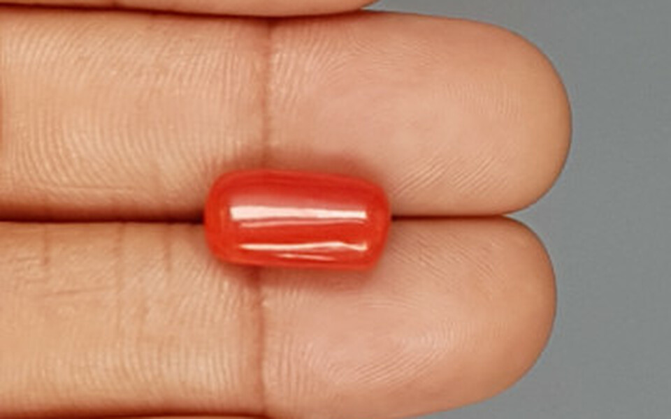 Italian Red Coral - 6.11 Carat Limited Quality CC-5743