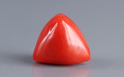 Italian Red Coral - 6.11 Carat Prime Quality TC-5394