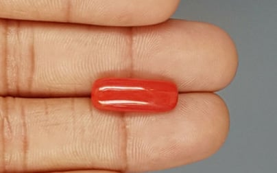 Italian Red Coral - 6.12 Carat Prime Quality CC-5775