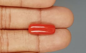 Italian Red Coral - 6.12 Carat Prime Quality CC-5775