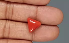 Italian Red Coral - 6.14 Carat Limited Quality TC-5372