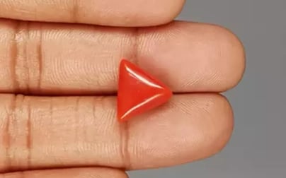 Italian Red Coral - 6.39 Carat Limited Quality TC-5299