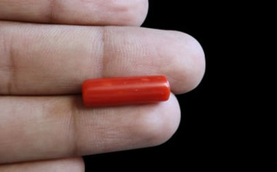 Italian Red Coral - 6.43 Carat Prime Quality CC-5687