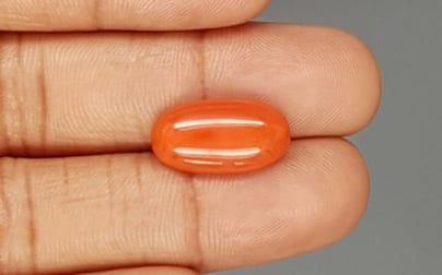 Italian Red Coral - 6.44 Carat Limited Quality CC-5808