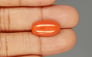 Italian Red Coral - 6.44 Carat Limited Quality CC-5808