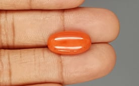 Italian Red Coral - 6.44 Carat Limited Quality CC-5808