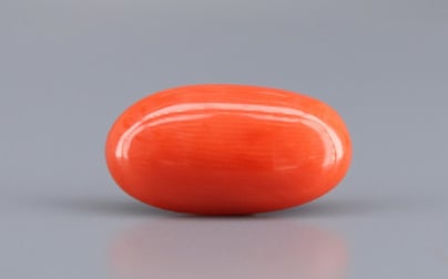 Italian Red Coral - 6.44 Carat Limited Quality CC-5808
