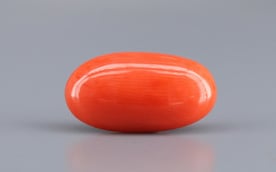 Italian Red Coral - 6.44 Carat Limited Quality CC-5808