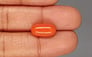 Italian Red Coral - 6.48 Carat Rare Quality CC-5815